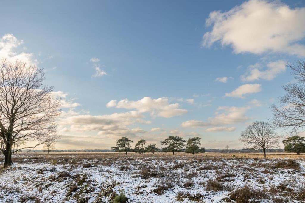 Vila Leva - Logeren In Drenthe Doldersum Exteriér fotografie