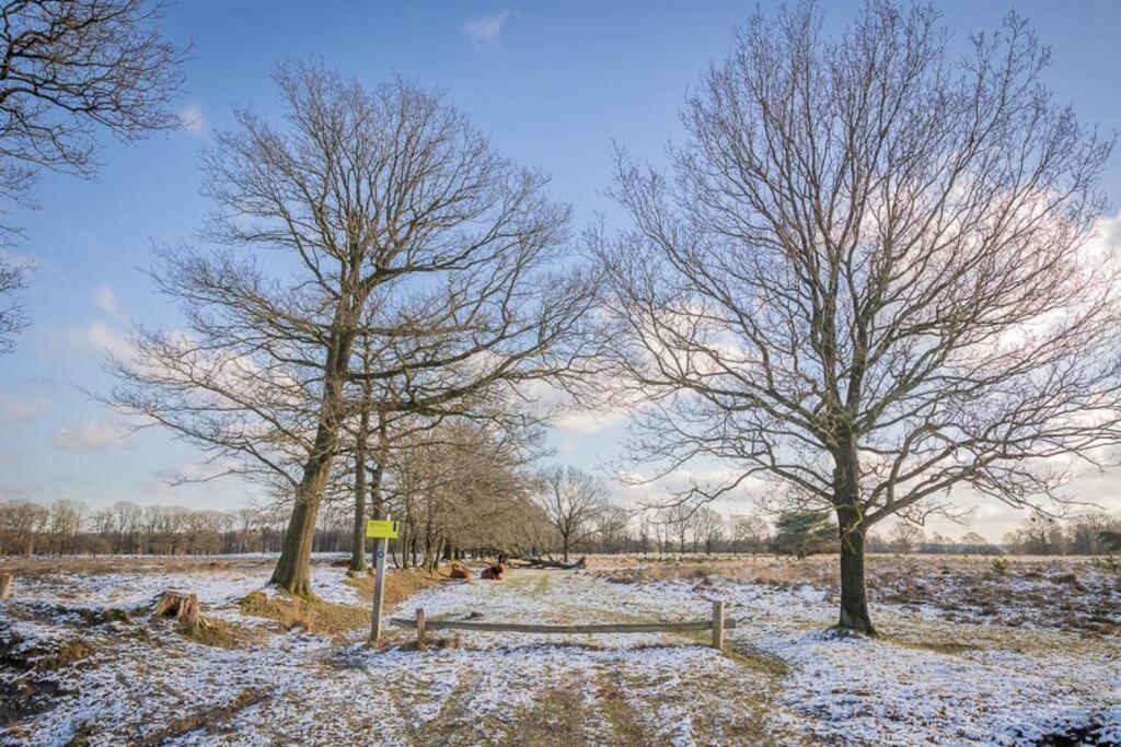 Vila Leva - Logeren In Drenthe Doldersum Exteriér fotografie