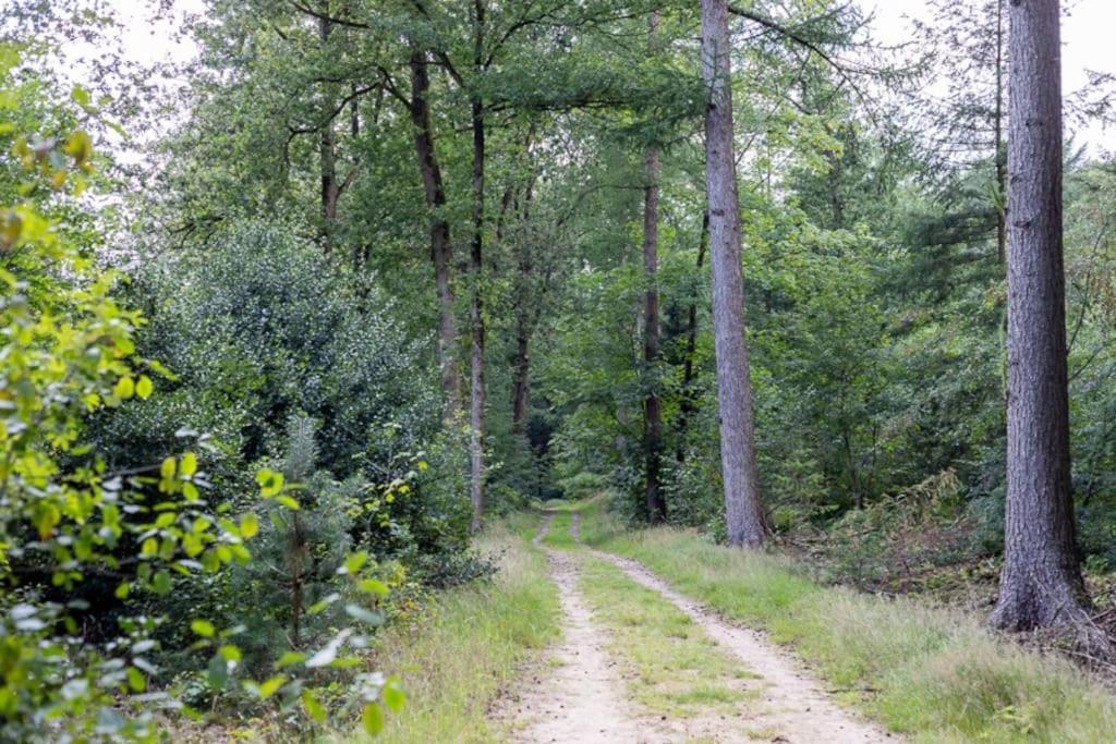 Vila Leva - Logeren In Drenthe Doldersum Exteriér fotografie