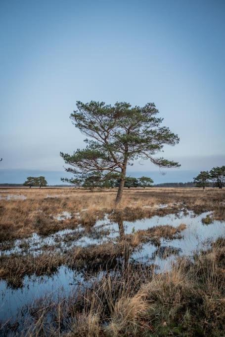 Vila Leva - Logeren In Drenthe Doldersum Exteriér fotografie