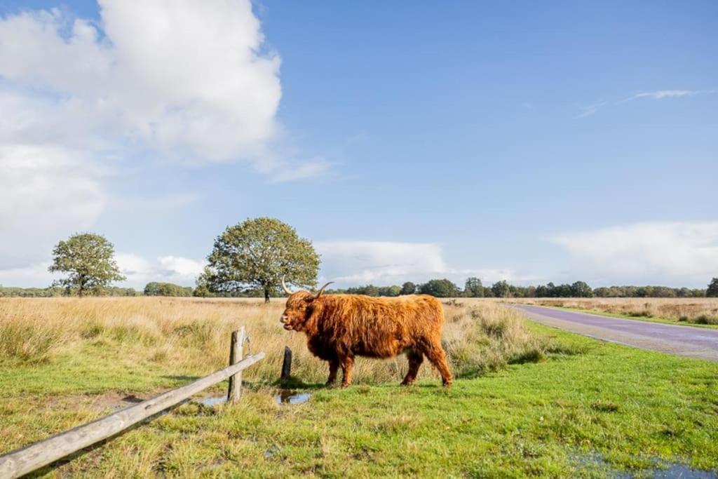 Vila Leva - Logeren In Drenthe Doldersum Exteriér fotografie